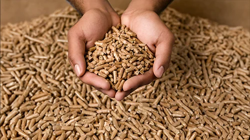 Hände halten Pellets für eine Pelletheizung in Hannover