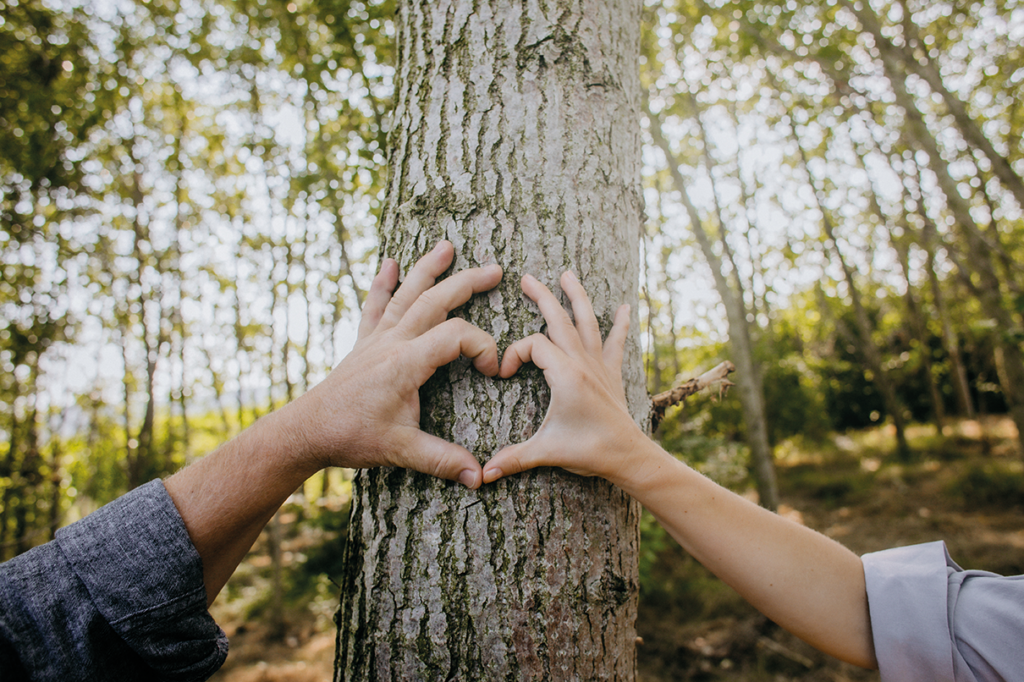 Hände formen ein Herz auf einem Baum als Symbol für die umweltschonende Pelletheizung